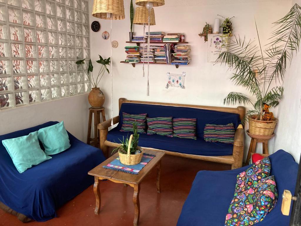 Casa Huipil Hotell San Cristóbal de Las Casas Eksteriør bilde